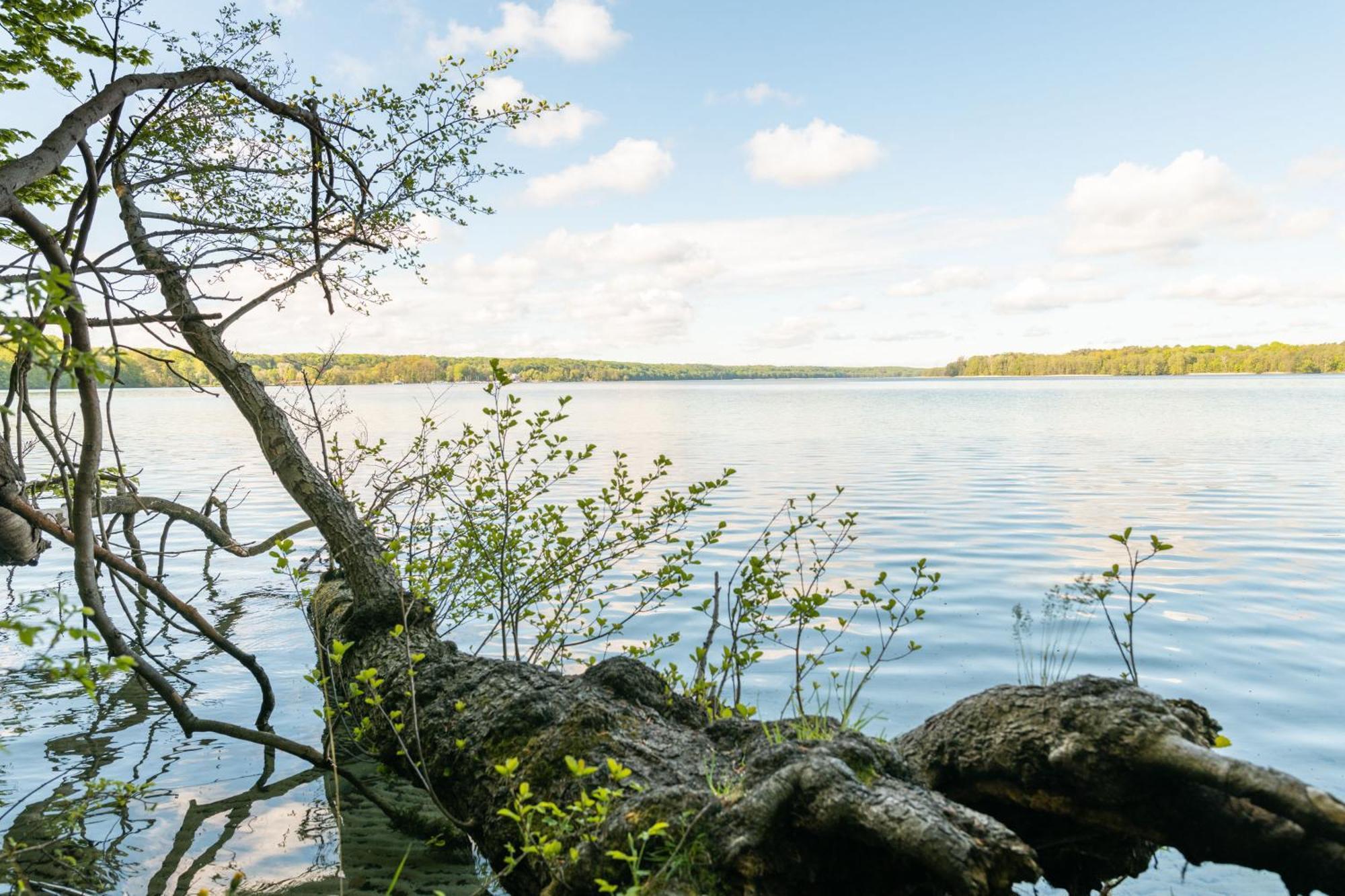 Budget Seezeit-Resort Am Werbellinsee Altenhof  Eksteriør billede